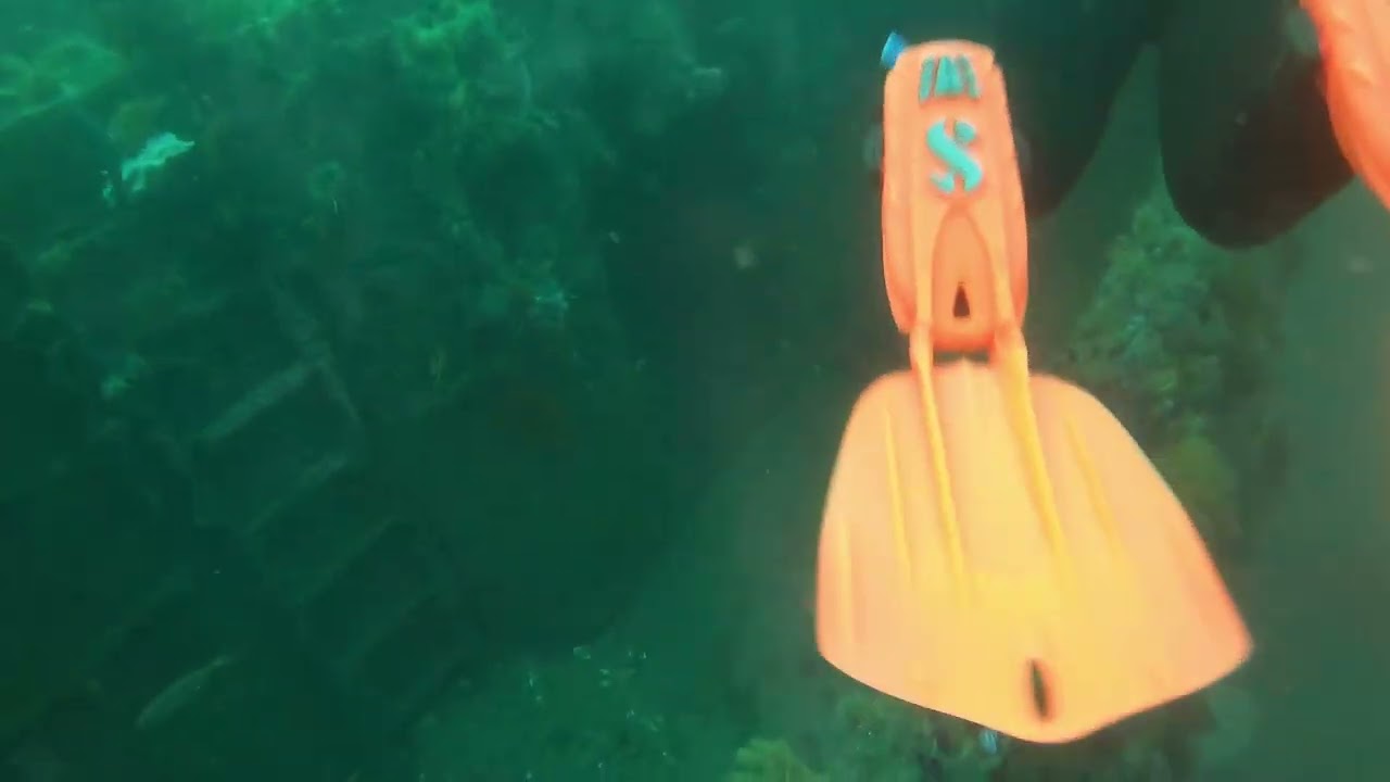 Wreck Dive Princess Elizabeth. Simons Town, Cape Town
