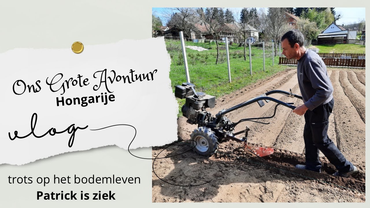 De Aardappels Gaan De Grond In | wonen in Hongarije #280