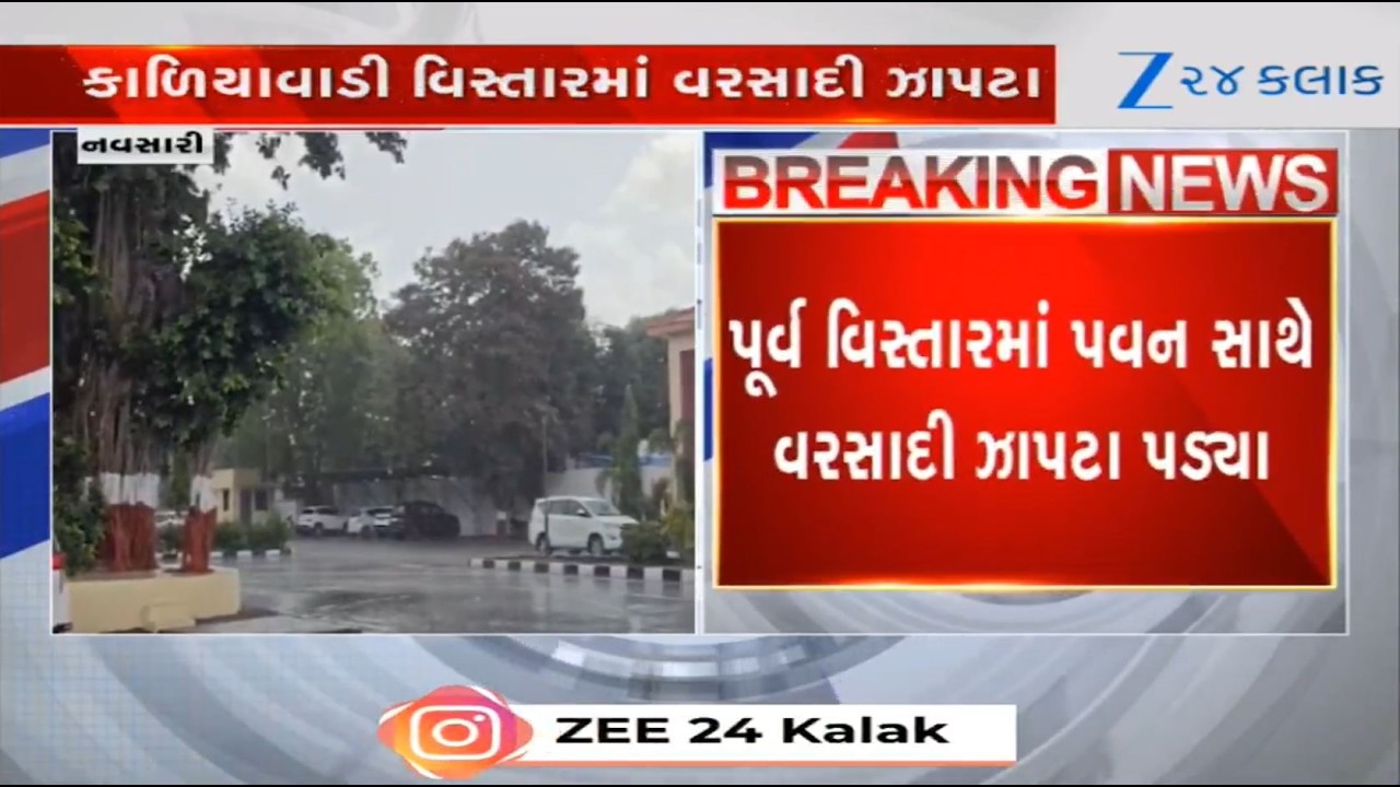 Gujarat: Respite from heat as parts of Navsari experience rain showers along with strong winds