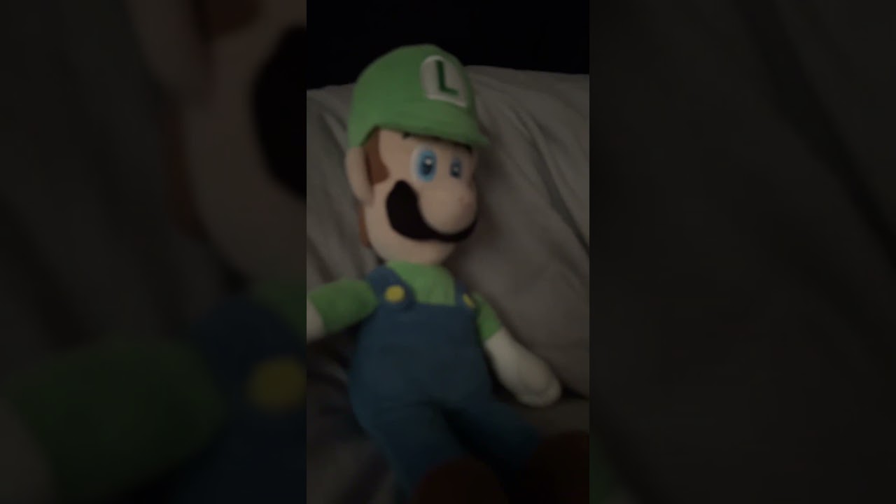 Mario and Luigi big sad
