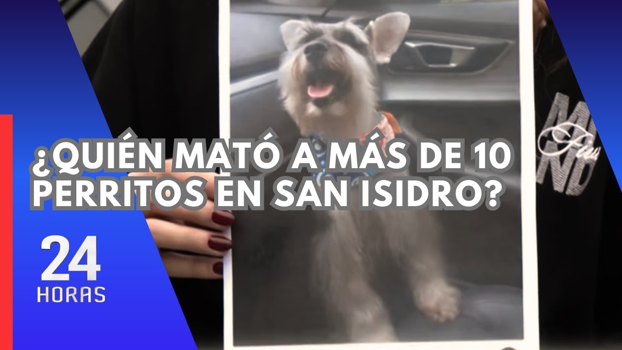 San Isidro: presunto uso de raticida podría estar detrás de las muertes de perros