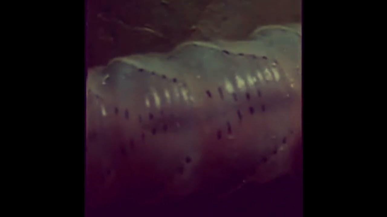 Part Time - Sik of being sick;of your shit (sic) / HMM 3000