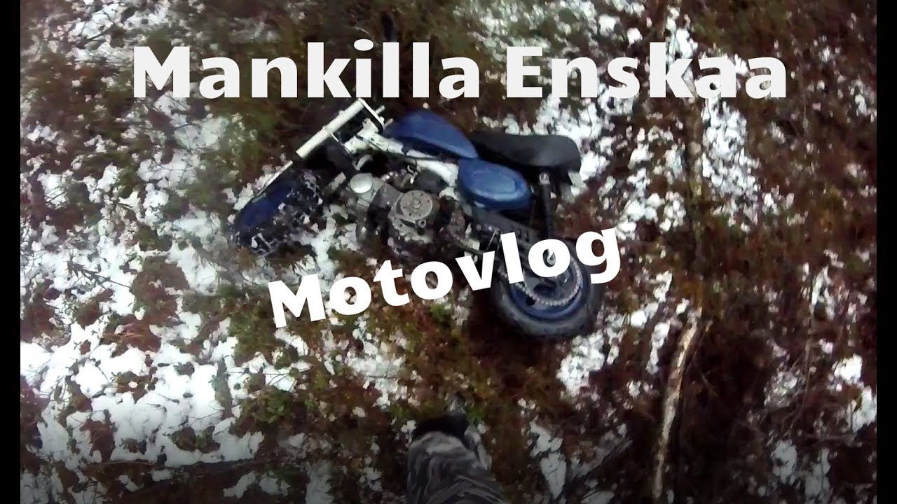 Honda Monkey Enskaa