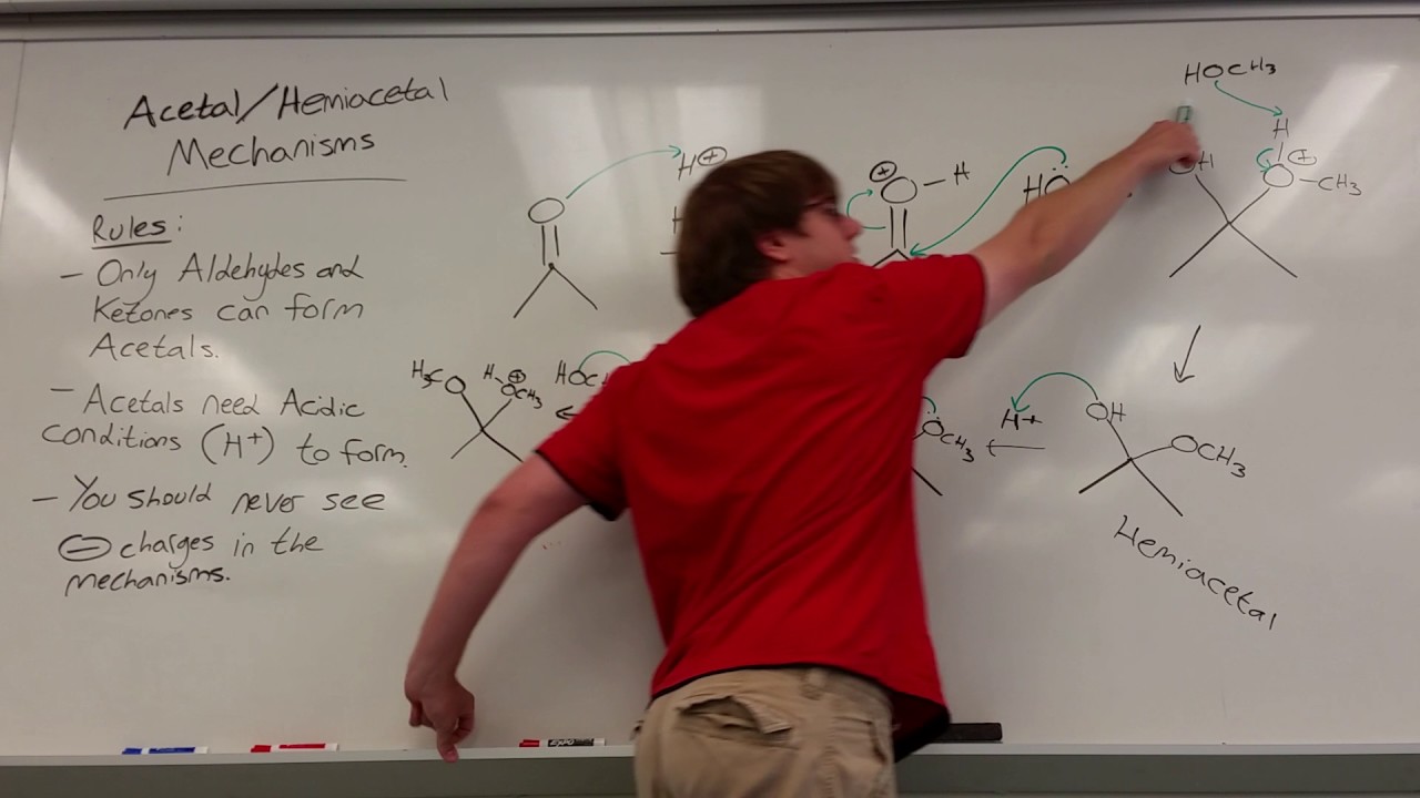 Hemiacetal and Acetal Mechanisms