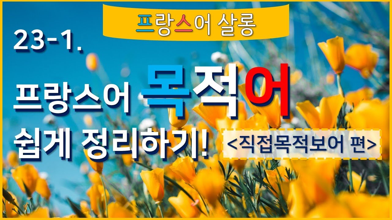 [기초 프랑스어] ★목적어 간단 정리★_직접 목적어 (직접 목적 보어) 어렵지 않아요!  [23-1]