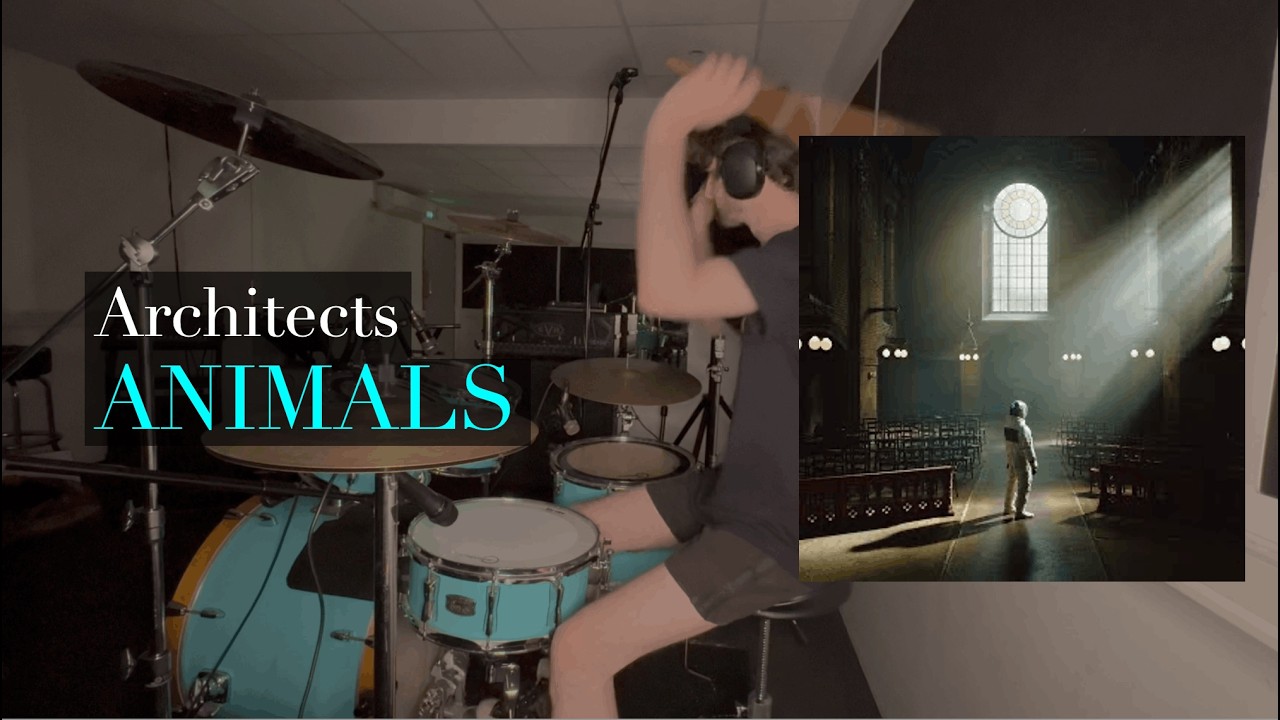 ANIMALS - Architects - Drum Cover
