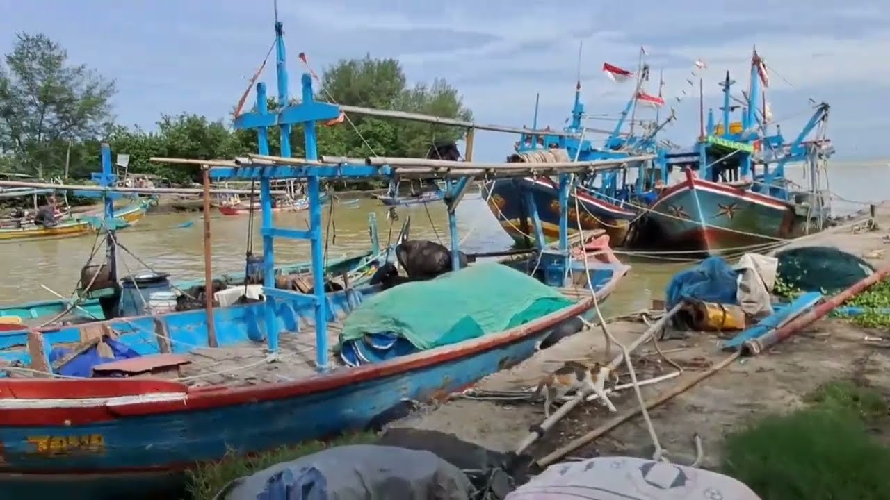 Menelusuri TPI Suradadi Tegal