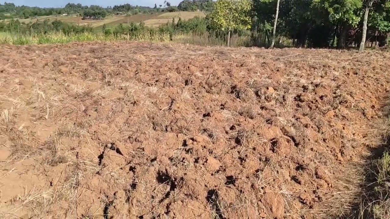    Kenya🇰🇪 Nyandarua county, pesi my village looks so beautiful 😍
