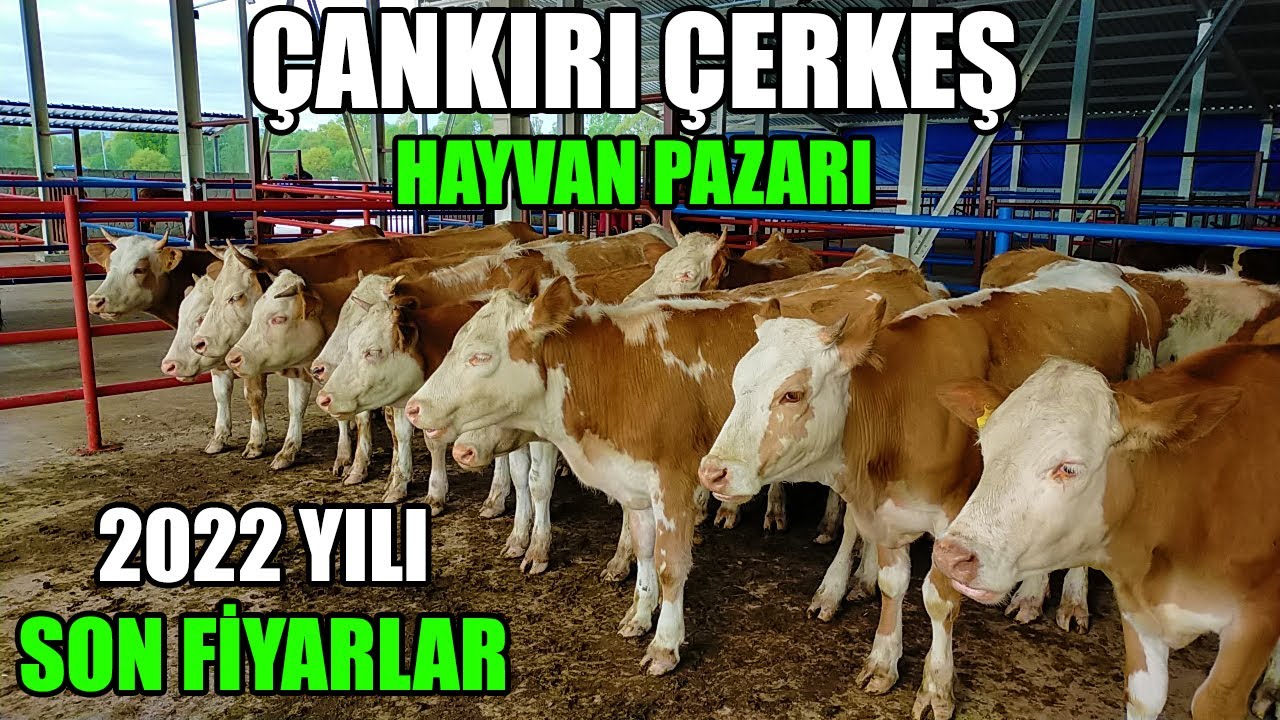 2022 Yılı 
