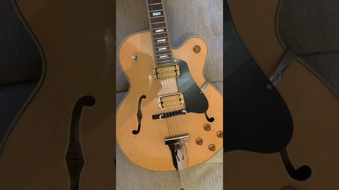 Hondo Fat Boy guitar look over