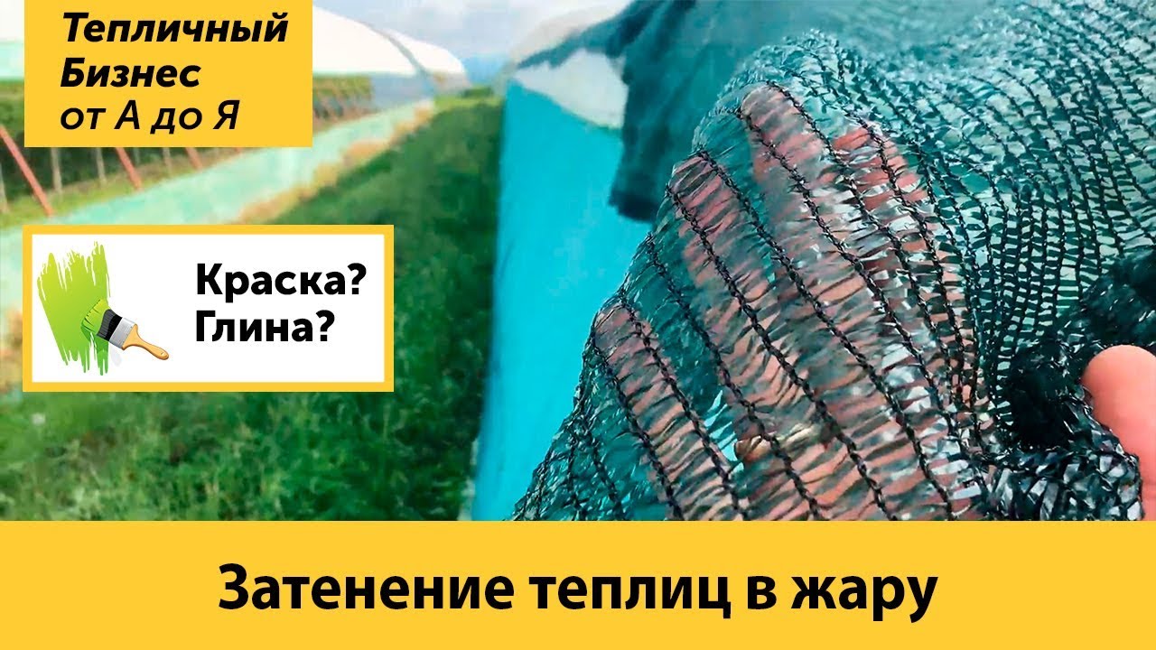 Затенение теплиц. Профессиональные фермерские методы притенения