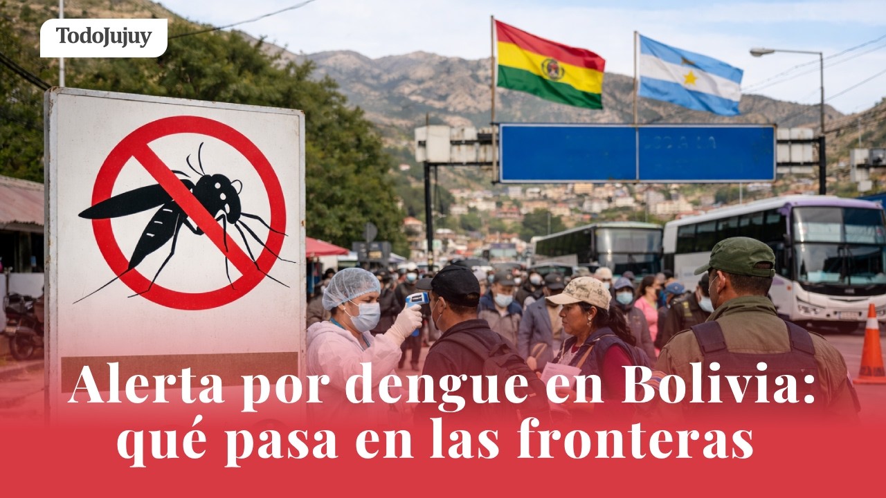 Alerta por dengue en Bolivia: qué pasa en las fronteras que conectan con Jujuy y Salta