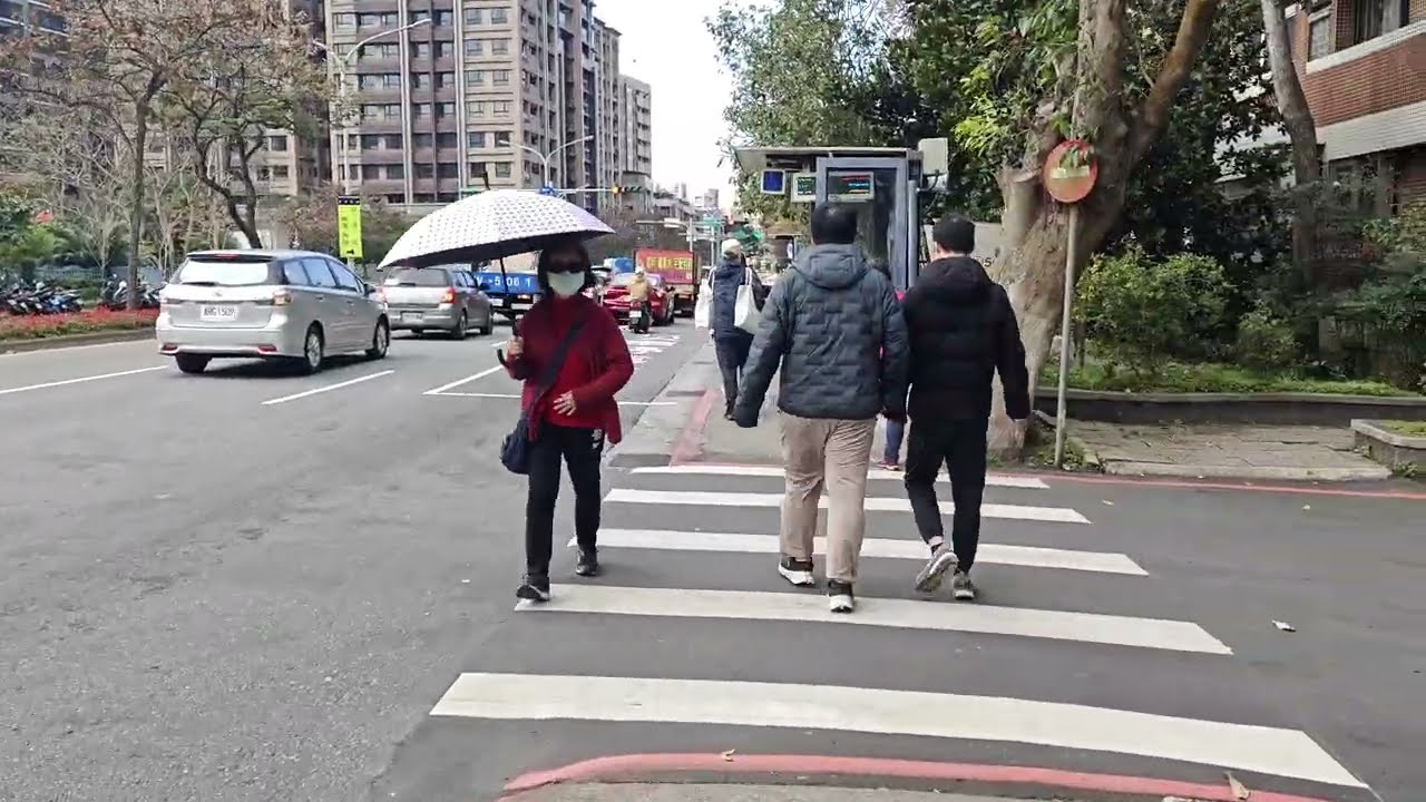 Sunny Winter Walk in Nangang | Cherry Blossoms, U-Bike, Street Life & Airplane View #vlog 