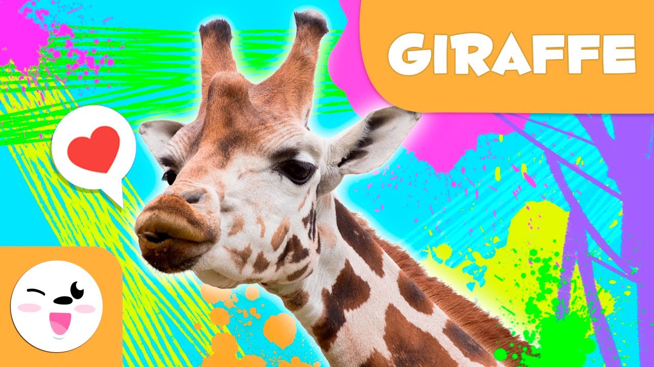 Giraffe 🦒 Animals for kids 🌳 Episode 7