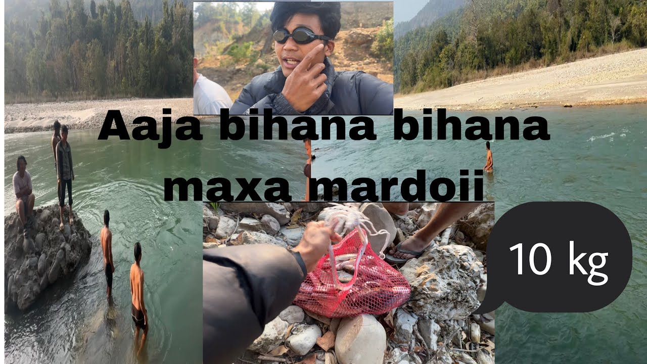 Aaja bihan fish hunting 