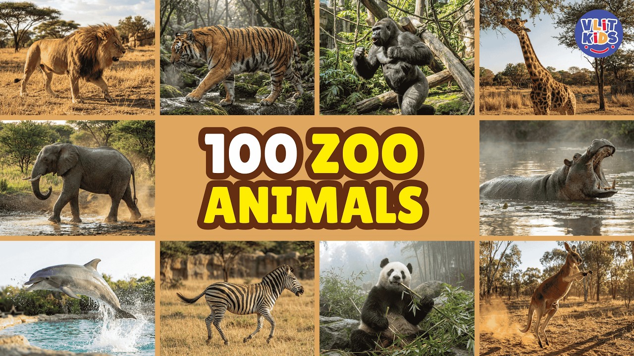 100 Zoo Animals Talking for Kids & Toddlers 🦁🦒 | Learn Animal Names in English
