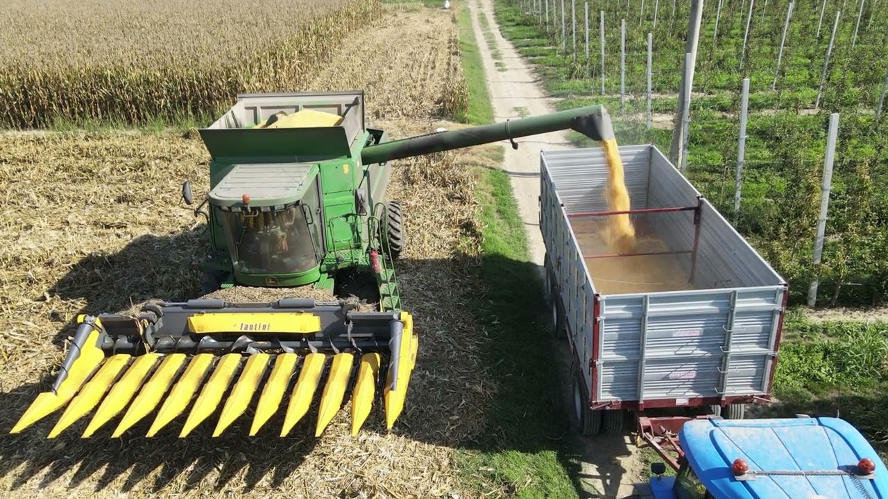 TREBBIATURA MAIS AZ. AGRICOLA BRUTTOMESSO FEDERICO