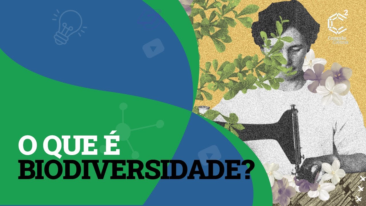 O que &eacute; biodiversidade?