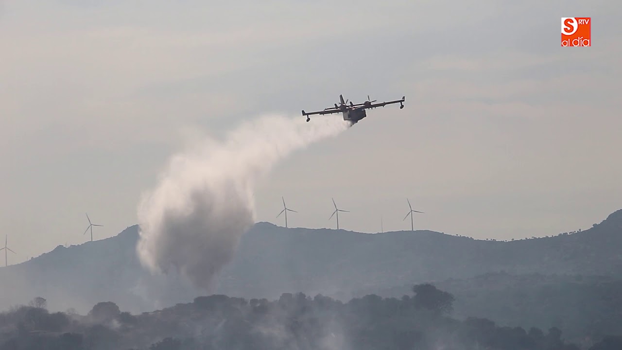 El viento reaviva el incendio forestal junto a Santibañez de Béjar
