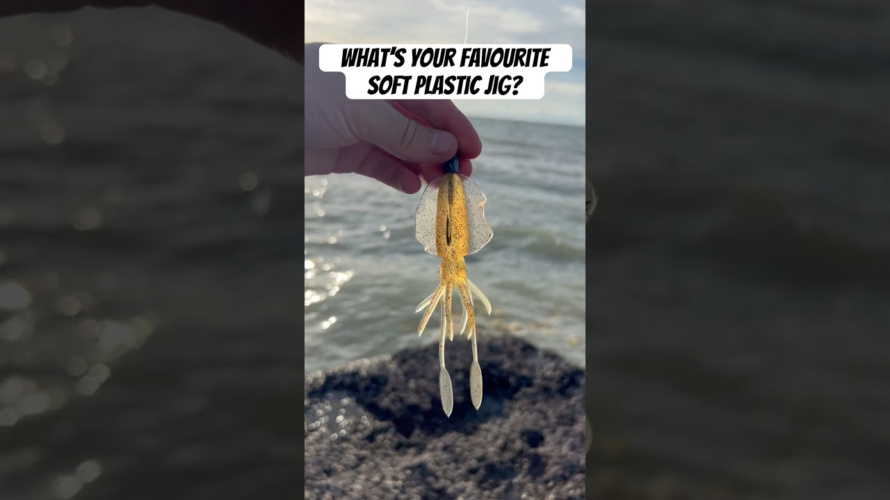 What&rsquo;s Your Favourite Soft Plastic Lure? | Chasebaits Squid in Action #fishing #lurefishing
