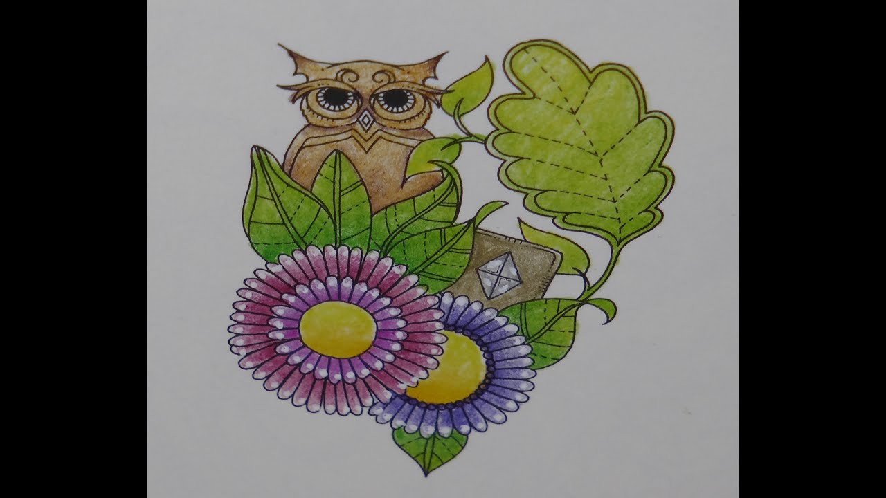 Adult Colouring Tutorial Owl and Flowers - from Miniature Enchanted Forest by Johanna Basford