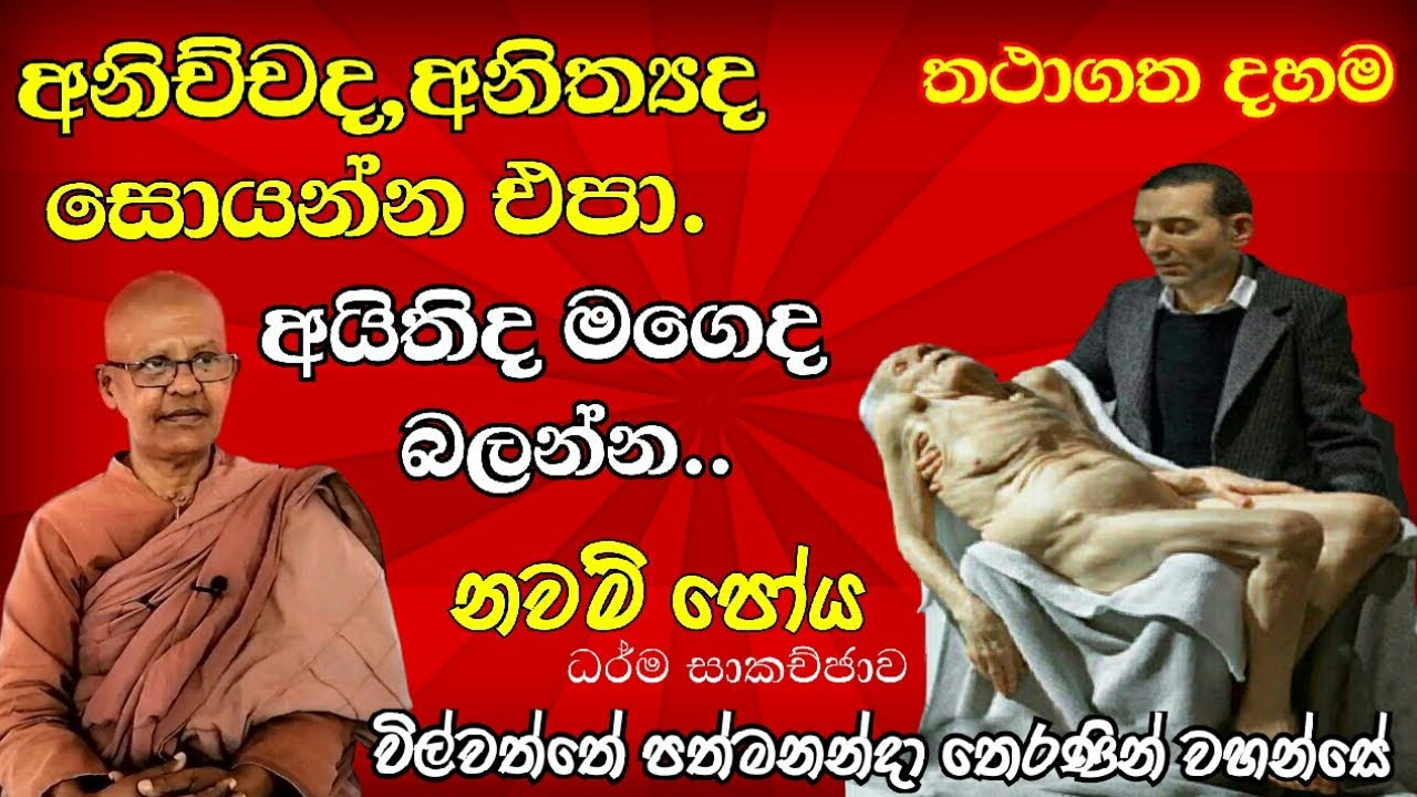 wilwaththe pathma theraniyo