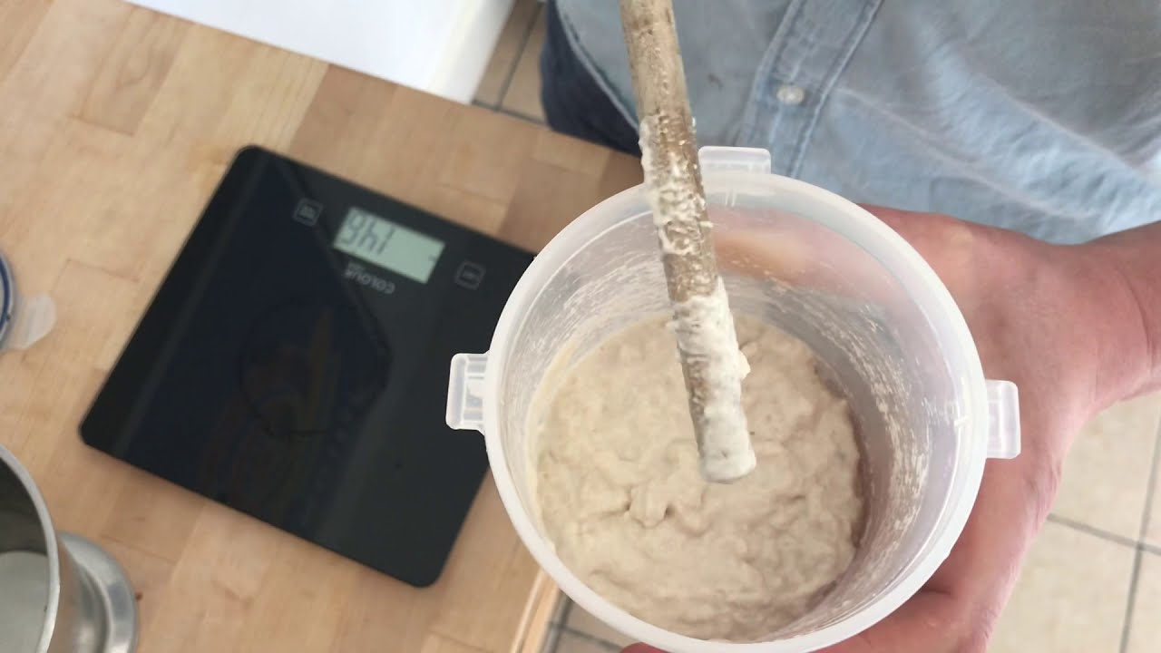 1. Creating your STARTER