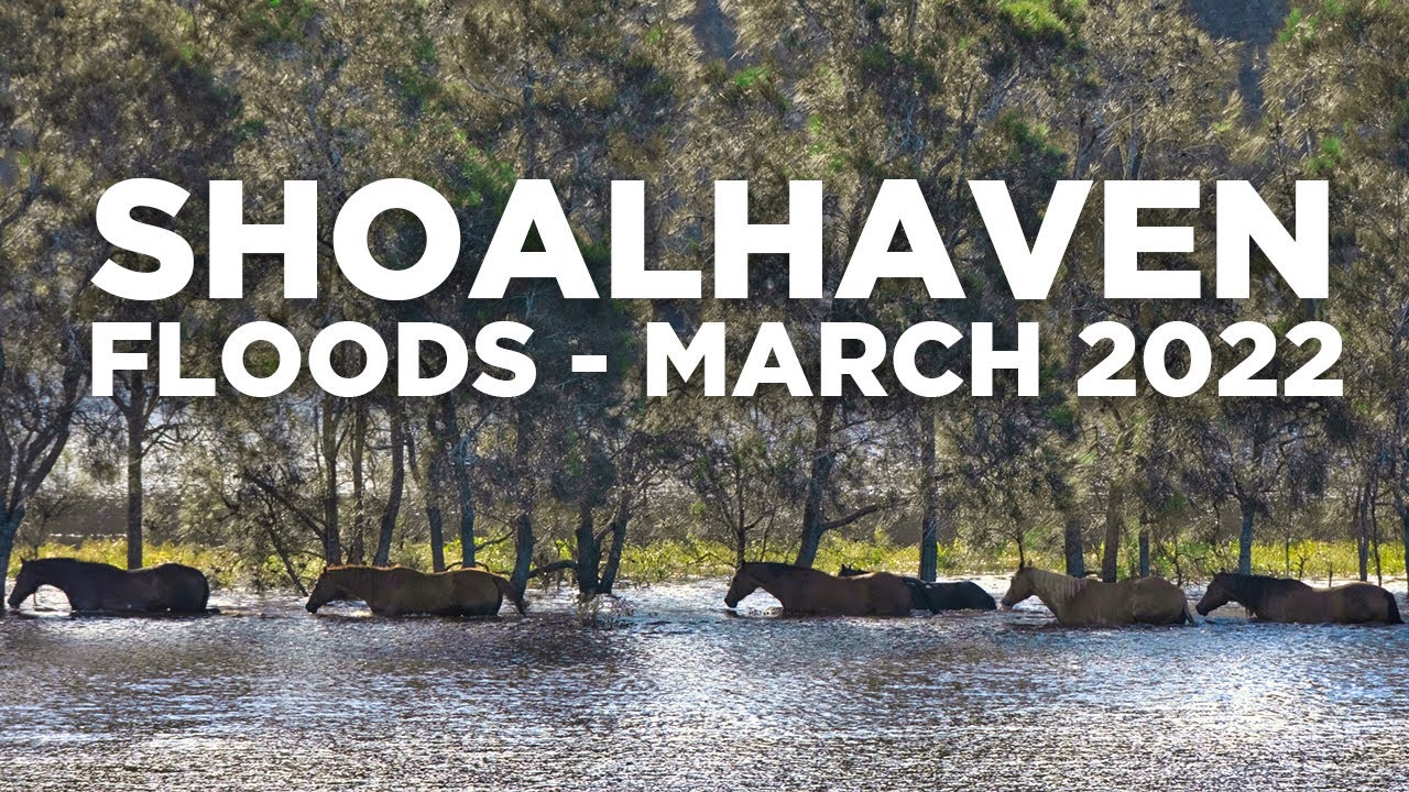 Shoalhaven Floods - March 2022