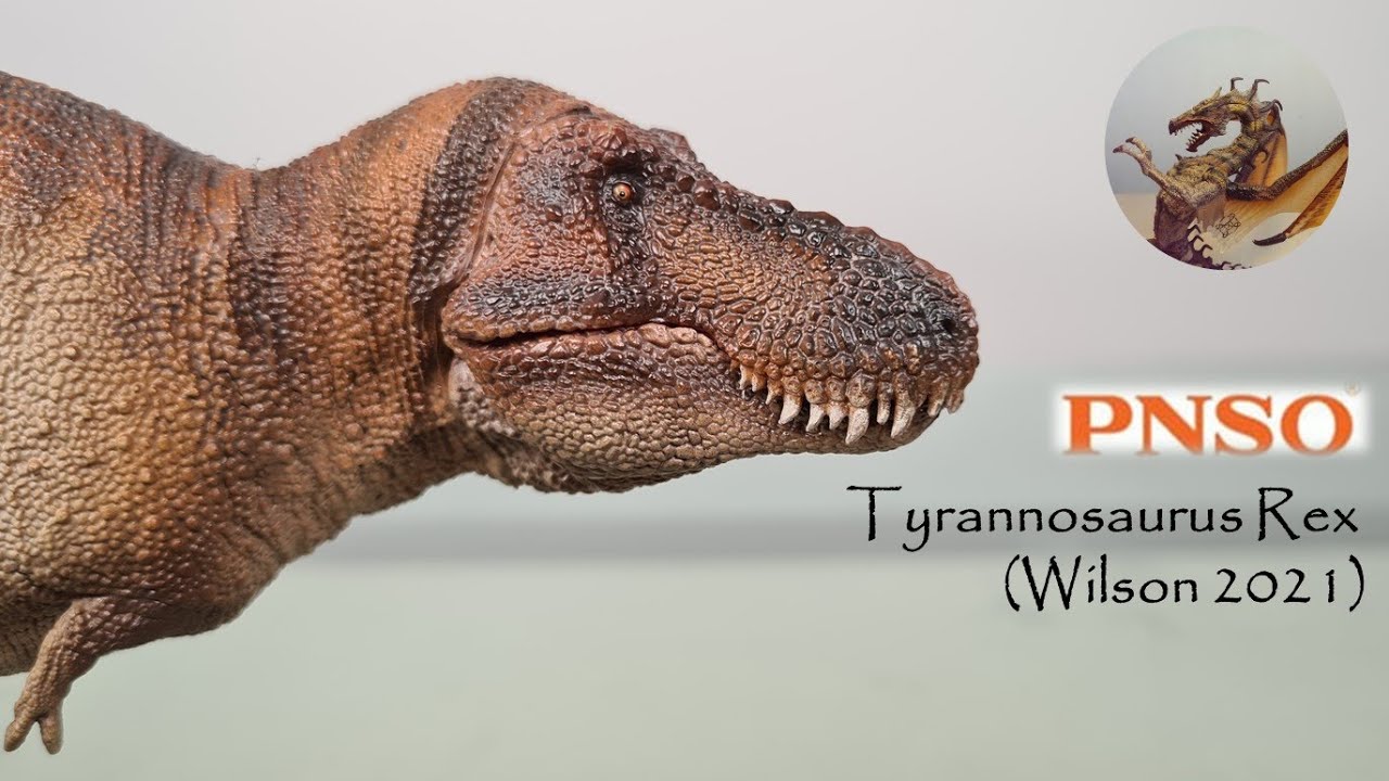 #97: PNSO 2021 Tyrannosaurus Rex (Wilson) Review