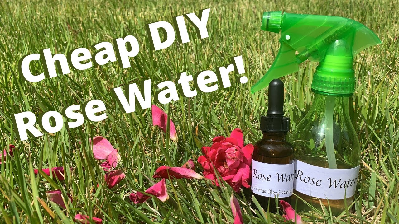 How to Make Rose Water at Home in 5 Easy Steps