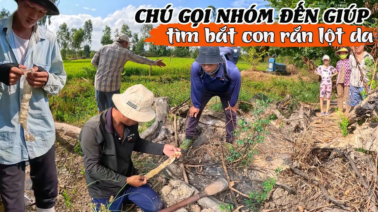 Cô và Chú thấy da Rắn sau nhà đã gọi nhóm đến tìm bắt giúp | TGSB #820