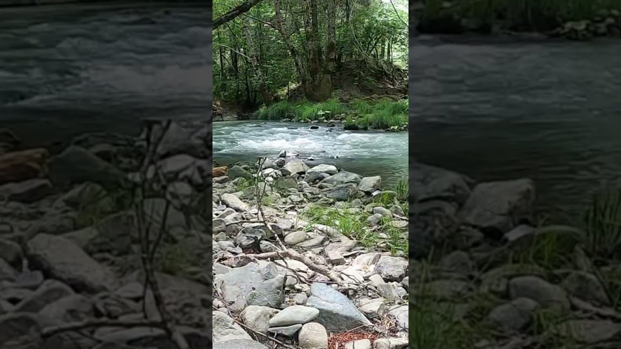 Timelapse Mad River. #california #outdoors #timelapse #nature #easyliving #river #amsr