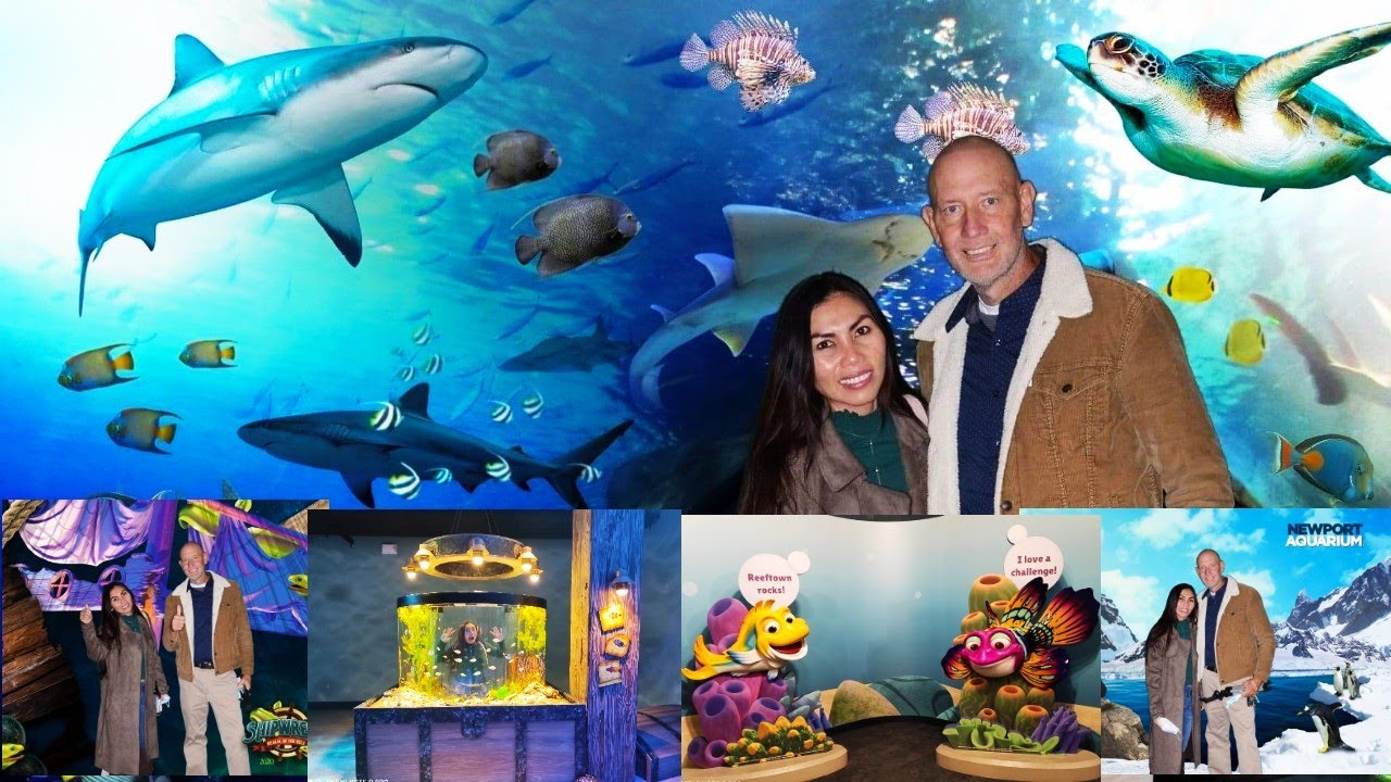 Newport Aquarium Best Tour for Kids and adults