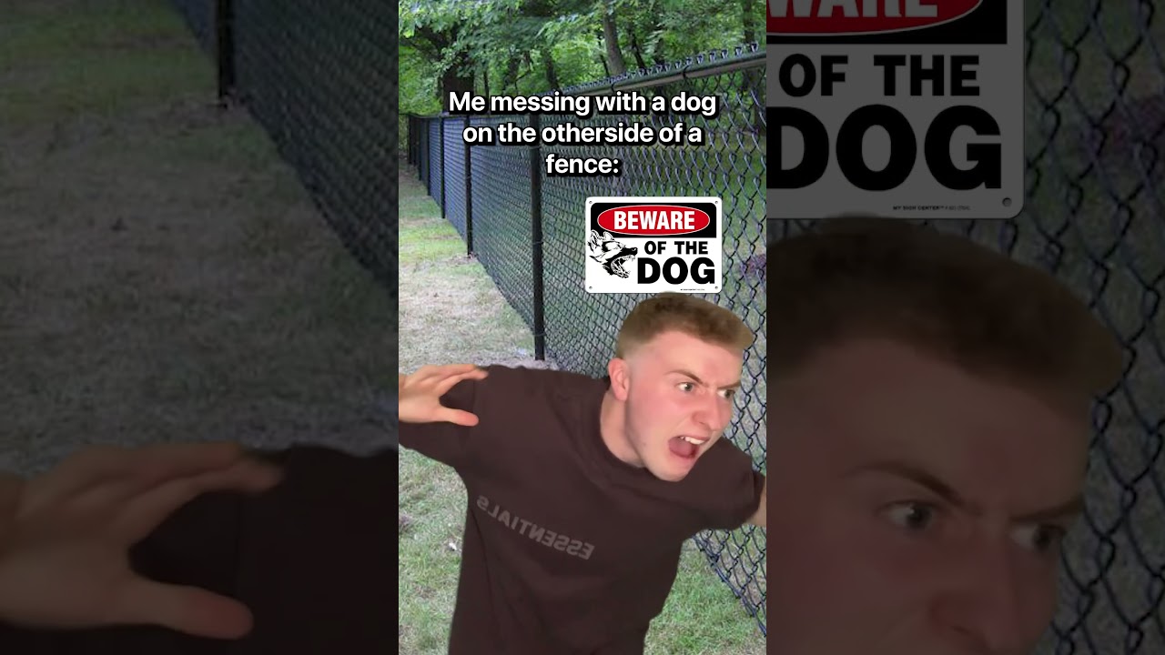 When You Mess With A Dog #Shorts