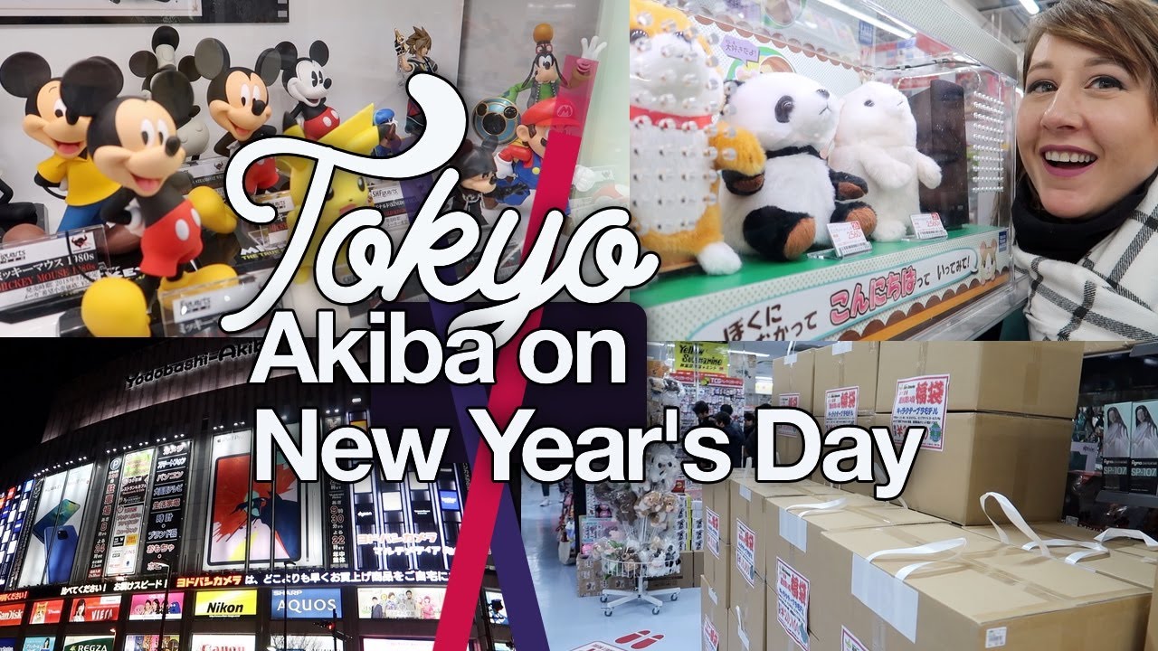 Akiba Shopping on New Year's Day! TOKYO #8, Jan 2019 | thisNatasha | Akihabara