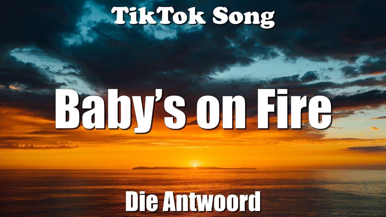 Baby&rsquo;s on Fire - Die Antwoord (Lyrics) - TikTok Song