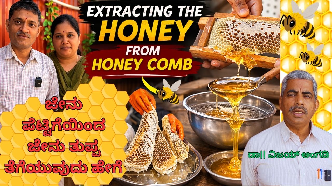 ಮನೆಯಲ್ಲಿ ಜೇನು ಪೆಟ್ಟಿಗೆಯಿಂದ ಜೇನು ತುಪ್ಪ ತೆಗೆಯುವುದು ಹೇಗೆ |  Step-by-Step Honey Extraction |