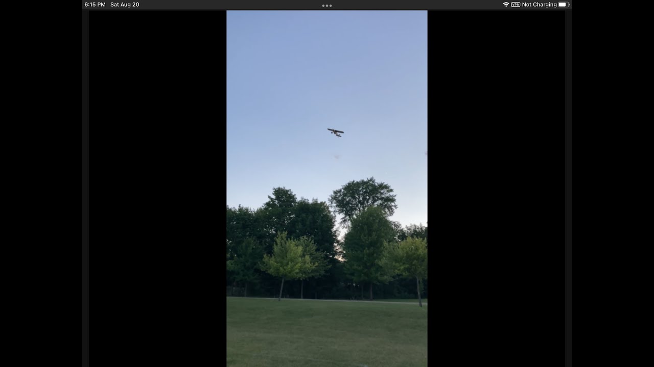 Horizon Hobby Carbon Cub RC Plane Flight Action! (Almost hits a tree!)