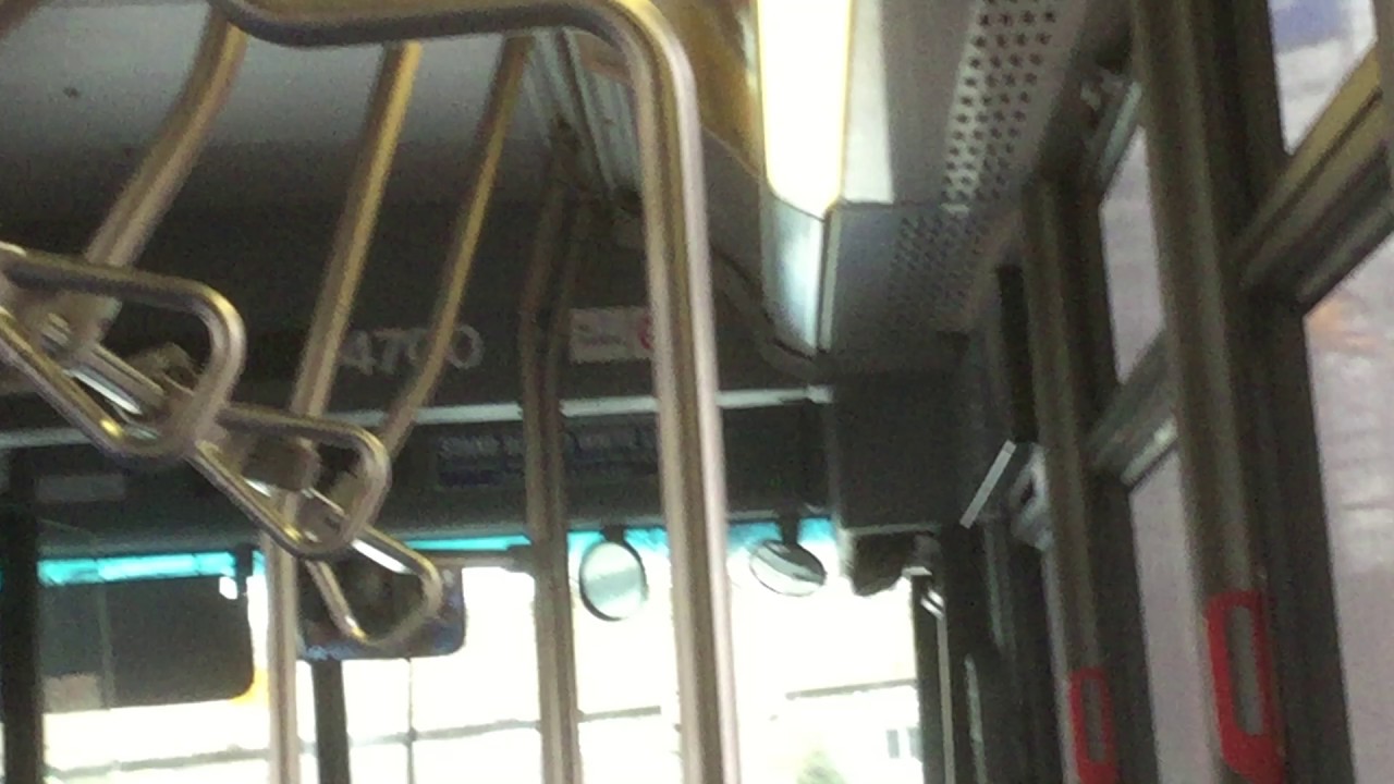 MTA New York City Bus: 2010 Orion VII NG HEV #4700 Q88 Bus Ride