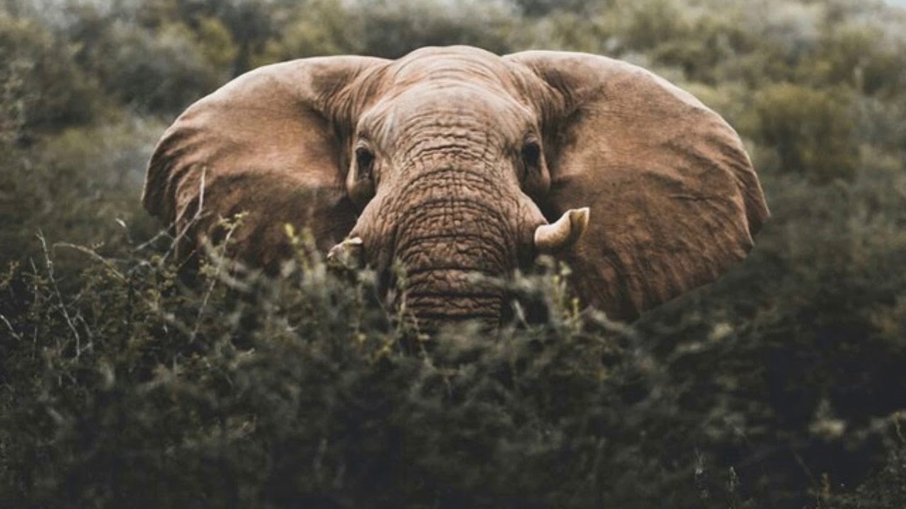 🔥Ambient Hip Hop Beat - FREE Instrumental 2020