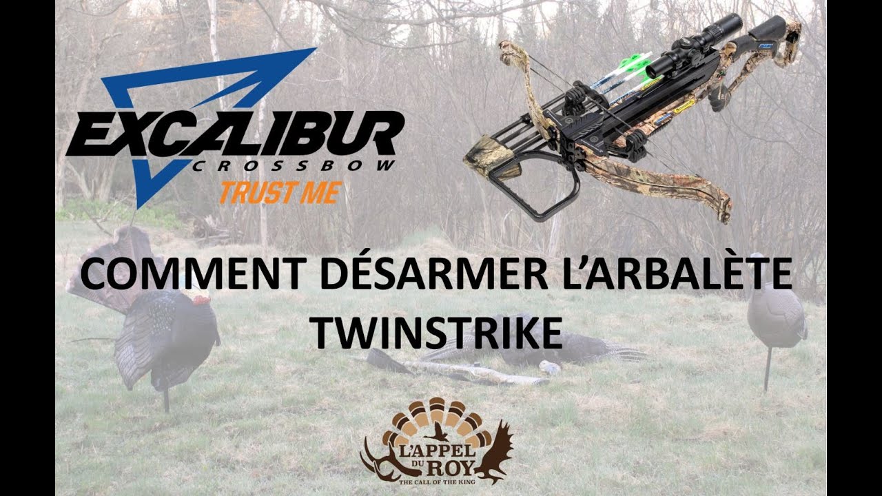 Désarmer la TwinStrike d'Excalibur.