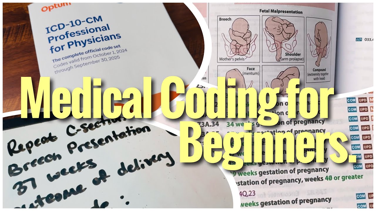 Back to the Basics: Medical Coding for Beginners
