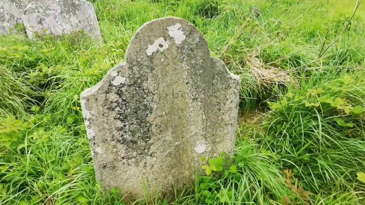 Looking For A Mass Grave