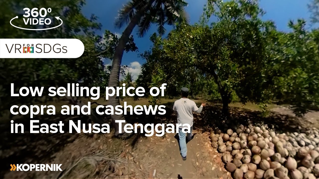 Low selling price of copra and cashews in East Nusa Tenggara
