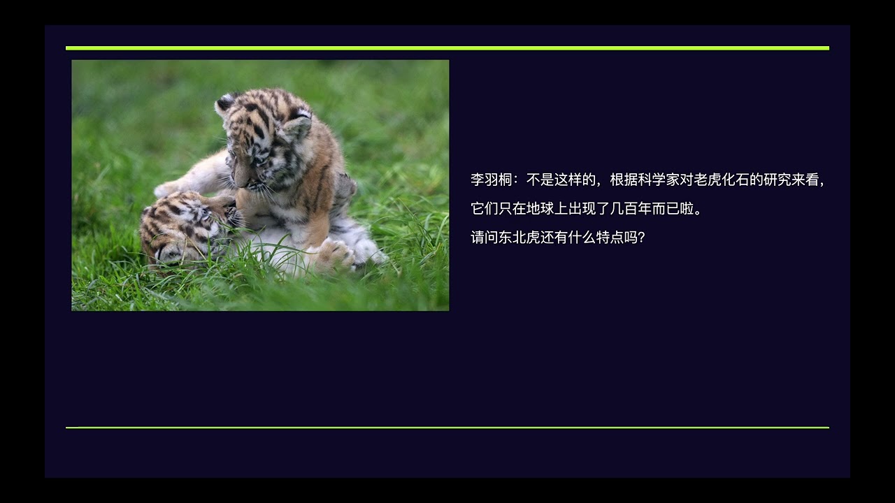 CNTO 311 Pair Presentation group 1 周天钰&李羽桐