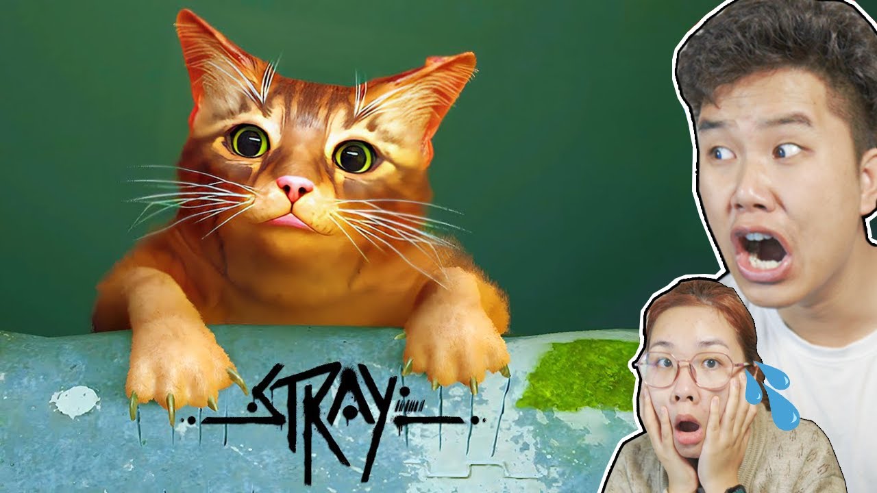bqThanh và Ốc Chơi Game Stray Trở Thành Chú Mèo Hoang Rồi Chuyện Gì Đã Xảy Ra ? - Part 1