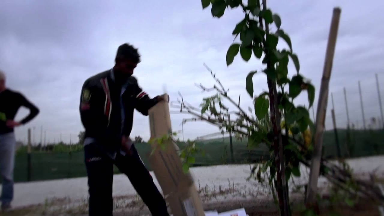 Bangladeshi people in Italy (subtitled) - ইতালিতে বাংলা - Bengalesi in Italia