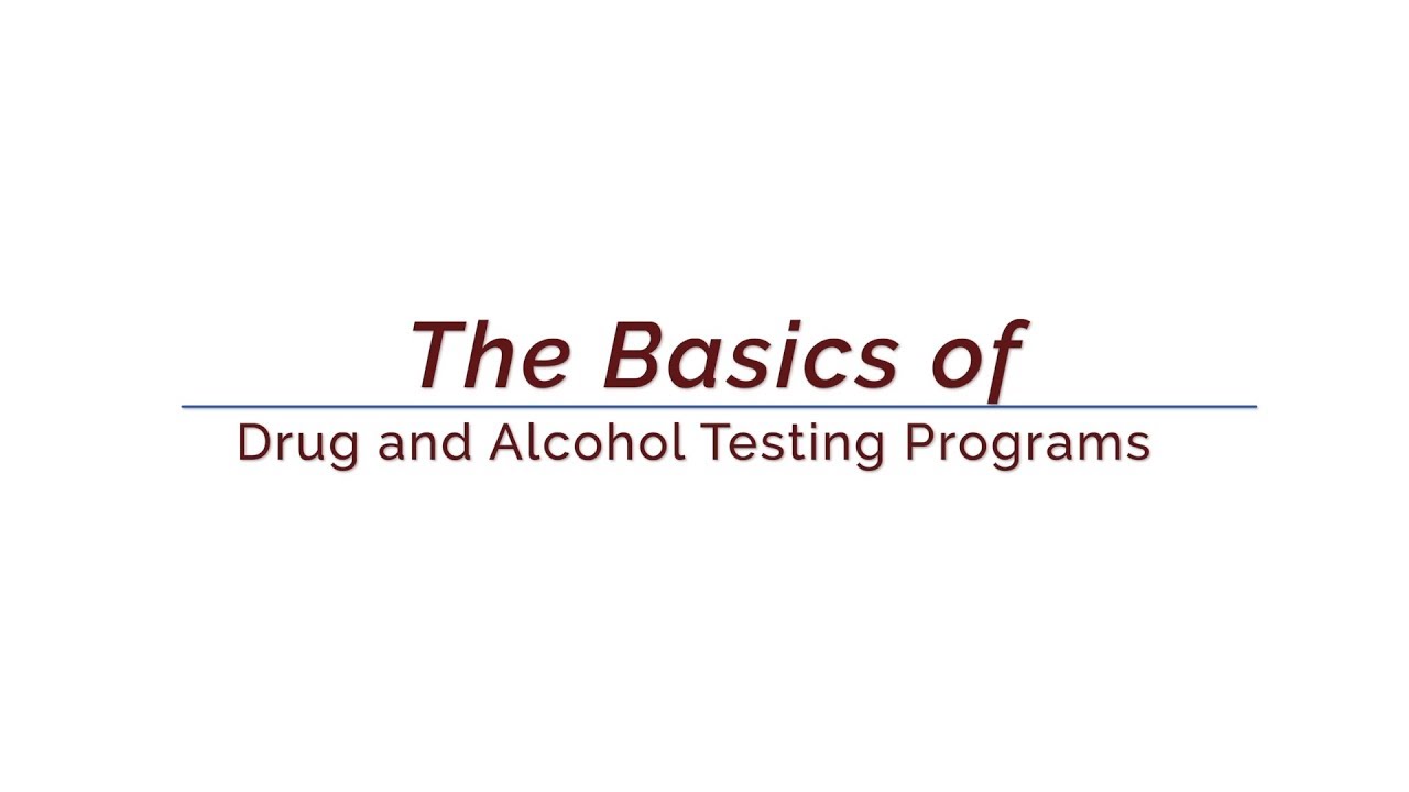 The Basics of Drug and Alcohol Testing Programs