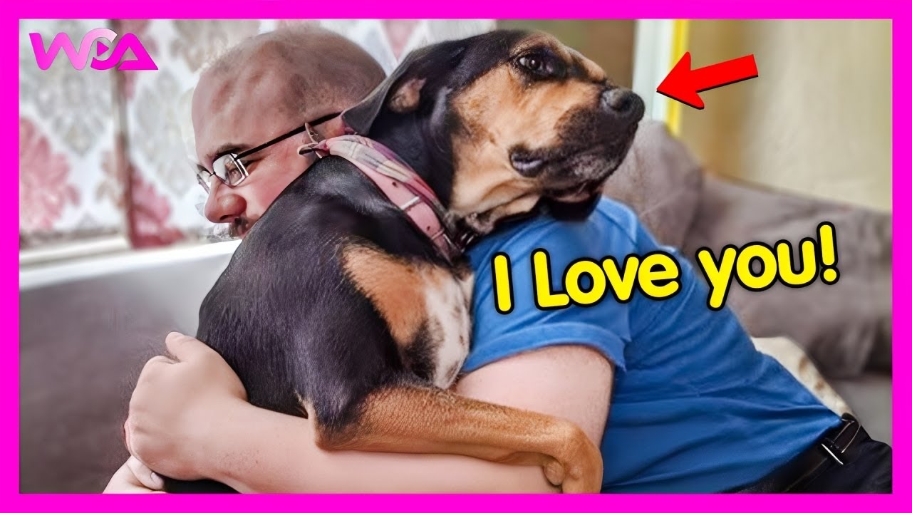 💖🐶 When Your Dog Shows Love To You And Warms Your Heart! 😂 | Funny Dogs and Humans Videos 2025
