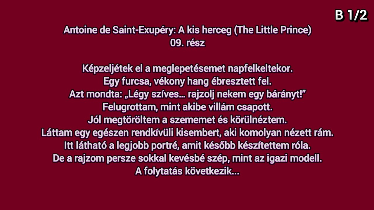 Learn Hungarian B 1/2 - Antoine de Saint-Exupéry: A kis herceg..09. rész